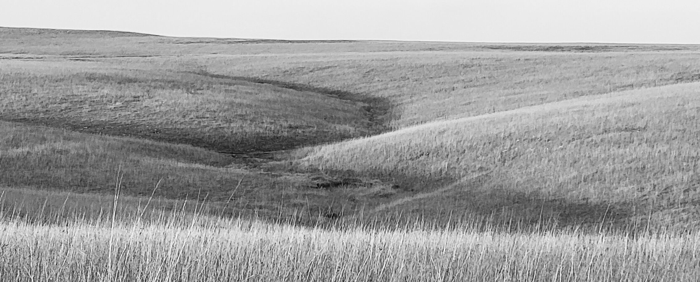 Stories & Songs of the Flint Hills