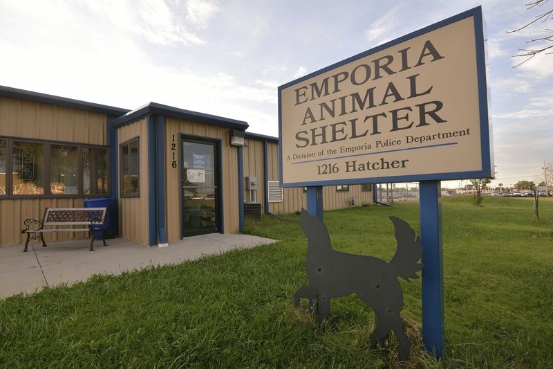 Humane Society and city commission discuss animal shelter takeover