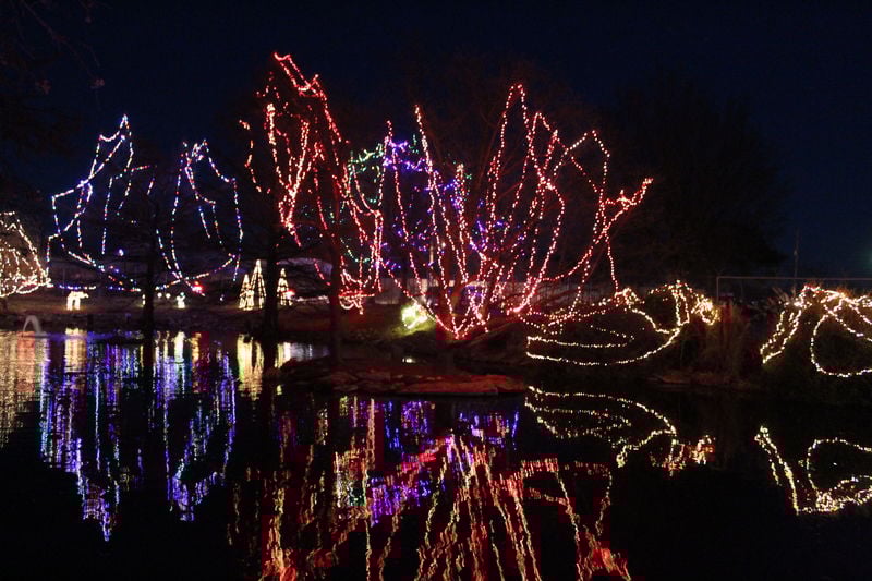 Zoo welcomes in Christmas spirit with Holidaze | Latest News And