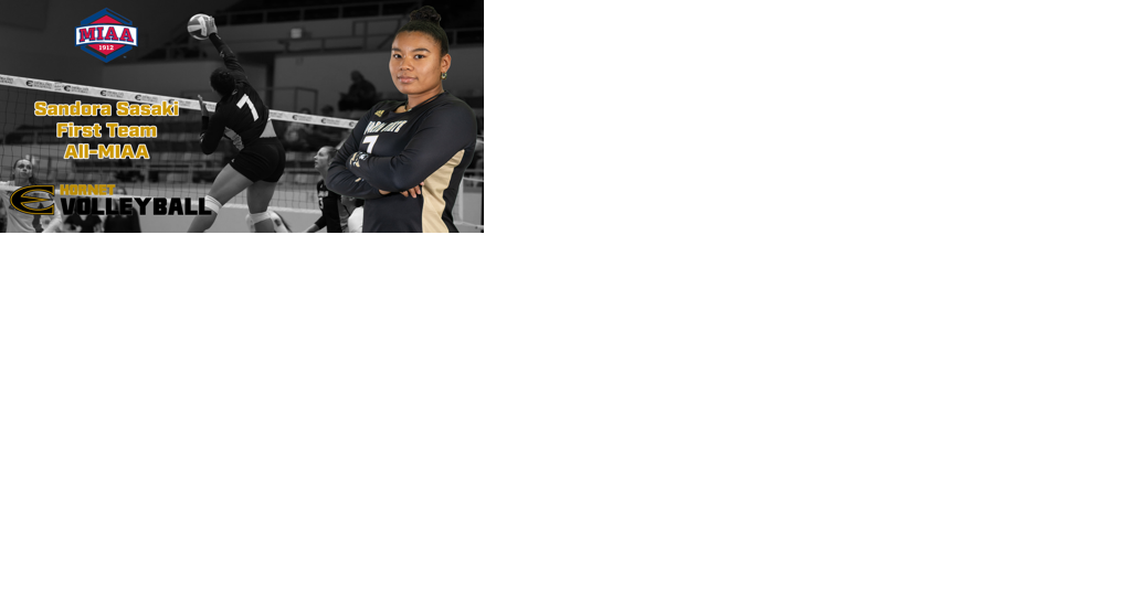 Sasaki Named First Team As Two Hornets Earn All-MIAA Honors - Vimarsana News