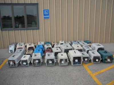 Neuter Scooter Stops Regularly In Emporia News Emporiagazette Com