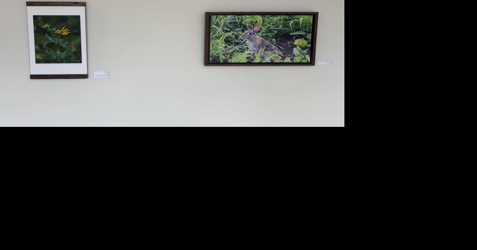 New "Flora & Fauna of Kansas" exhibit opens at Trusler Gallery