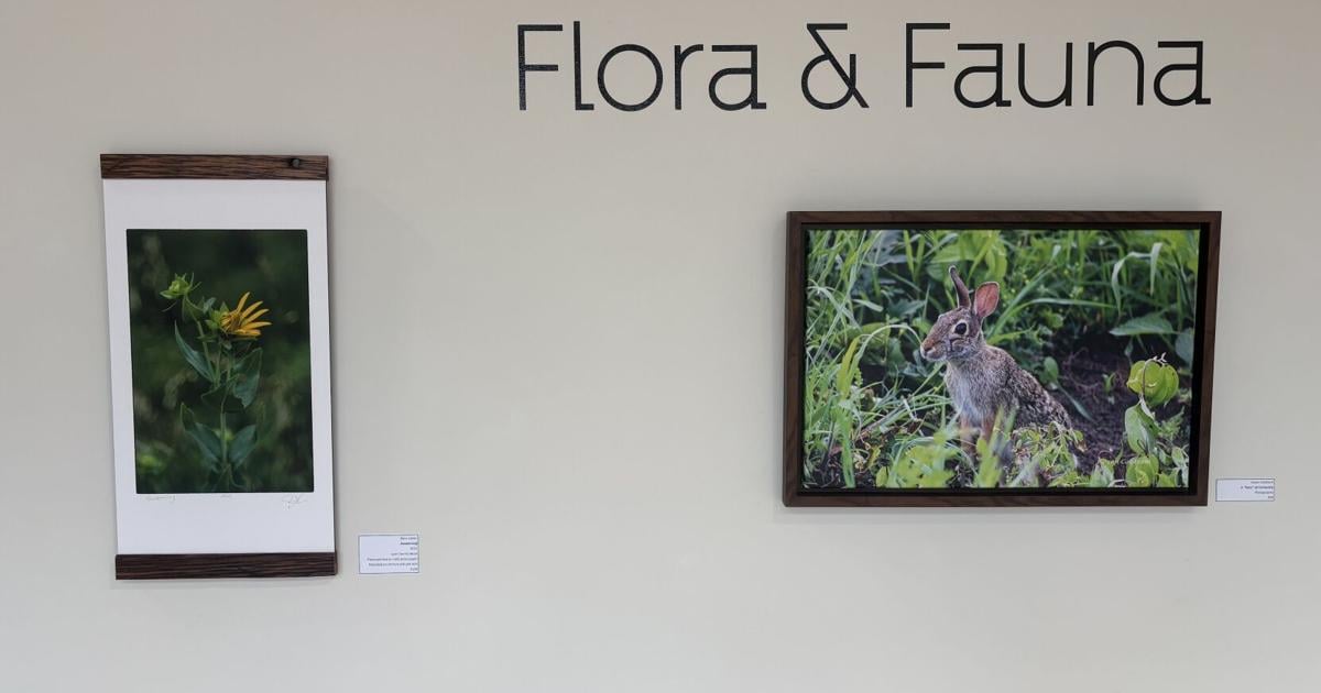 New "Flora & Fauna of Kansas" exhibit opens at Trusler Gallery