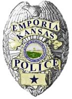 Teen arrested after early morning car chase in south Emporia