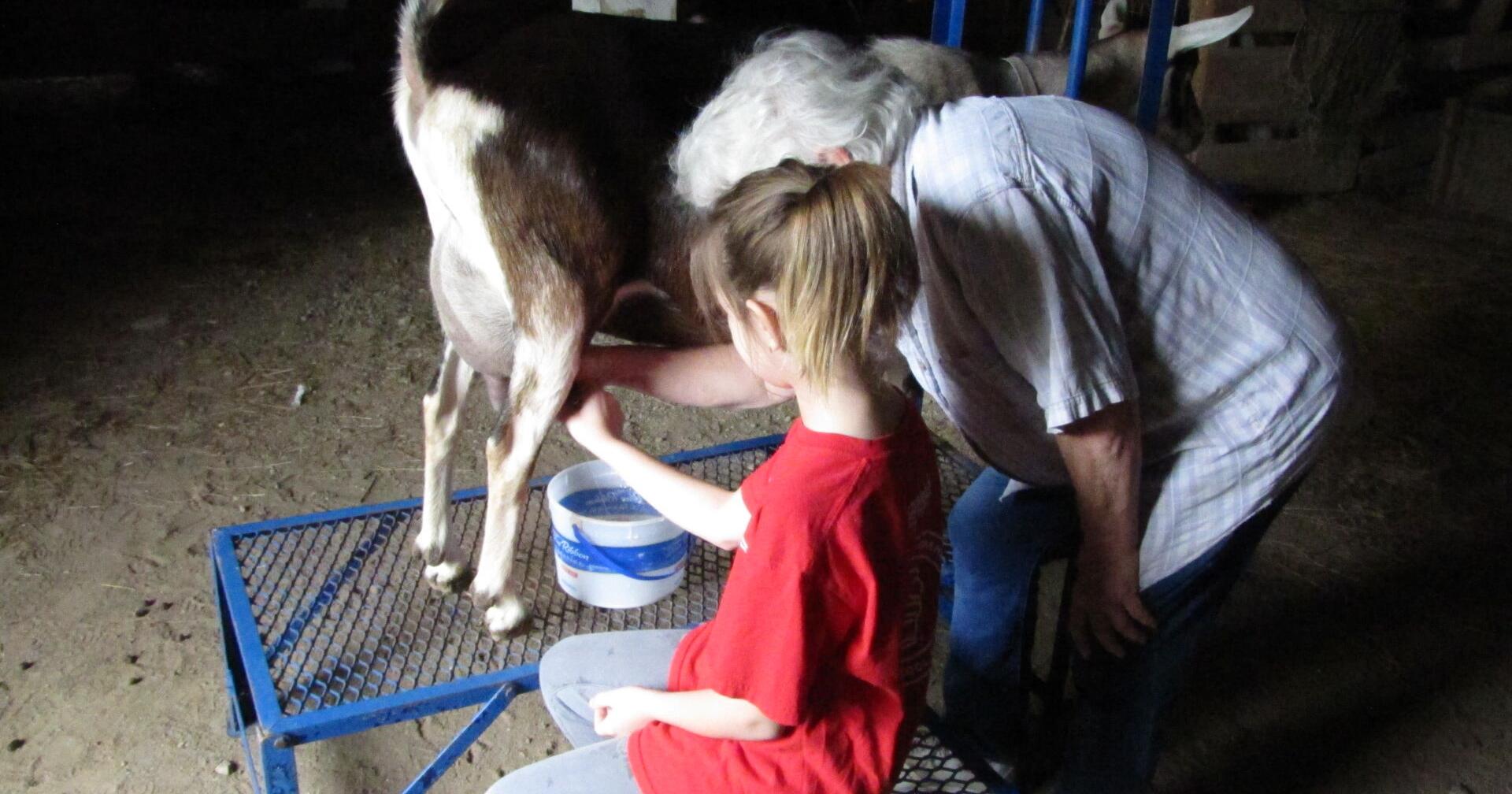 Kid's Farm and Ranch Animals and Wagon Rides at the Preserve on Memorial Day Saturday | Area News - Vimarsana News