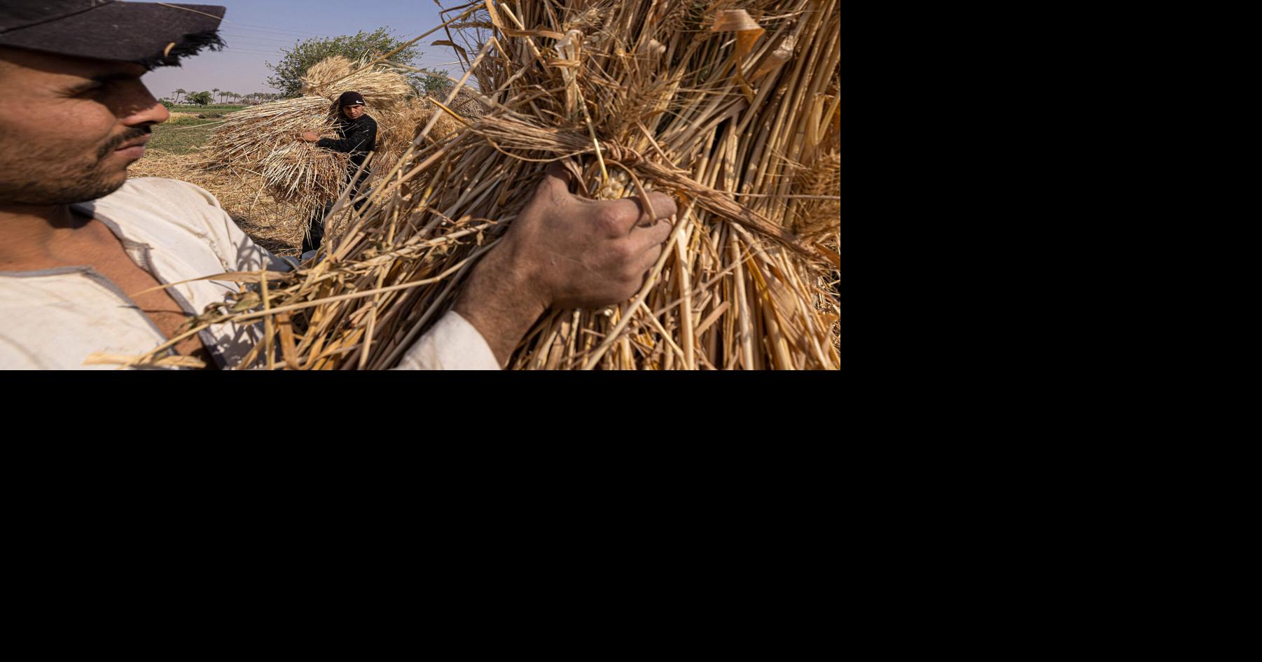 Ukraine under attack: Potential 'hunger hurricane'