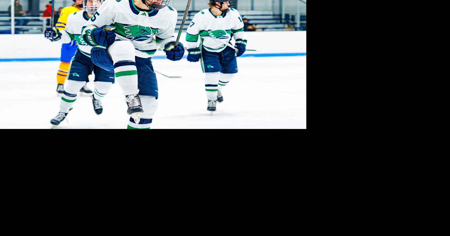 Men's Ice Hockey Defeated WNE, 7-0 | Sports | endicottobserver.com