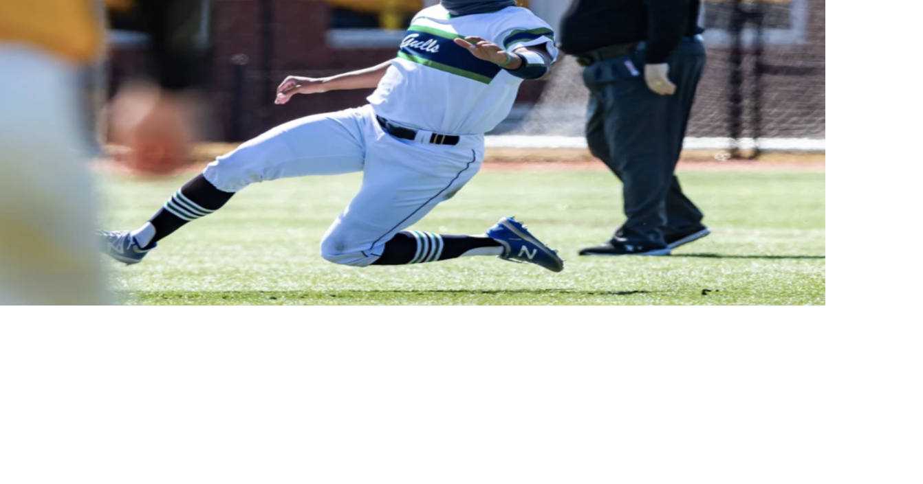 Endicott Baseball Perfect in DoubleHeader Sports