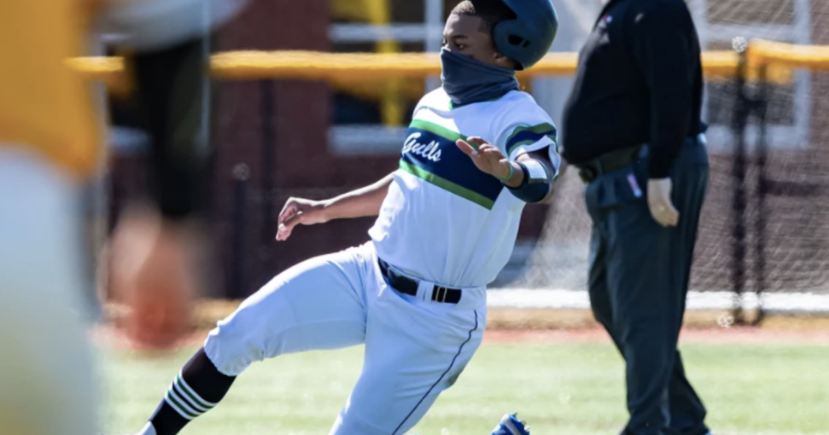 Endicott Baseball Perfect in DoubleHeader Sports