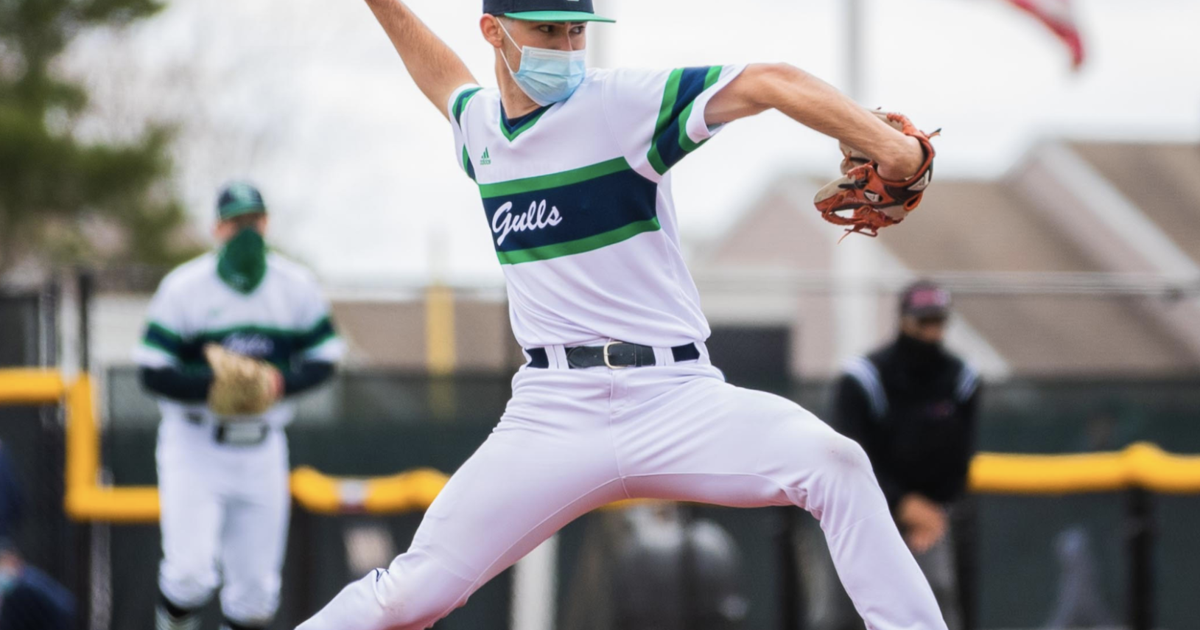 Endicott Baseball Takes Both in DoubleHeader Sports