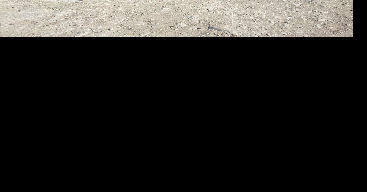 Study Abroad One Global Gull's Experience Features