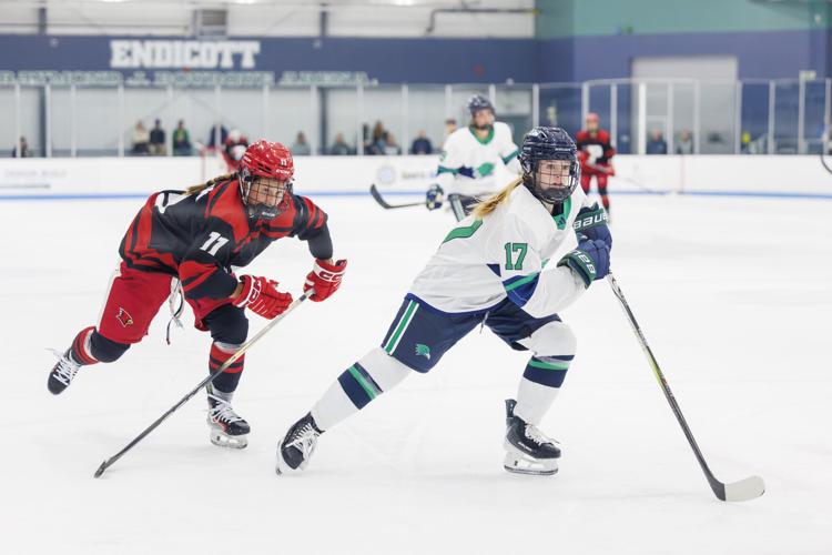 Women's Ice Hockey Crush Plattsburgh State, 3-1 | Sports ...