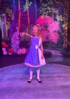 Ansonia Theatre hosting 'Alice in Wonderland: Down the Rabbit Hole'