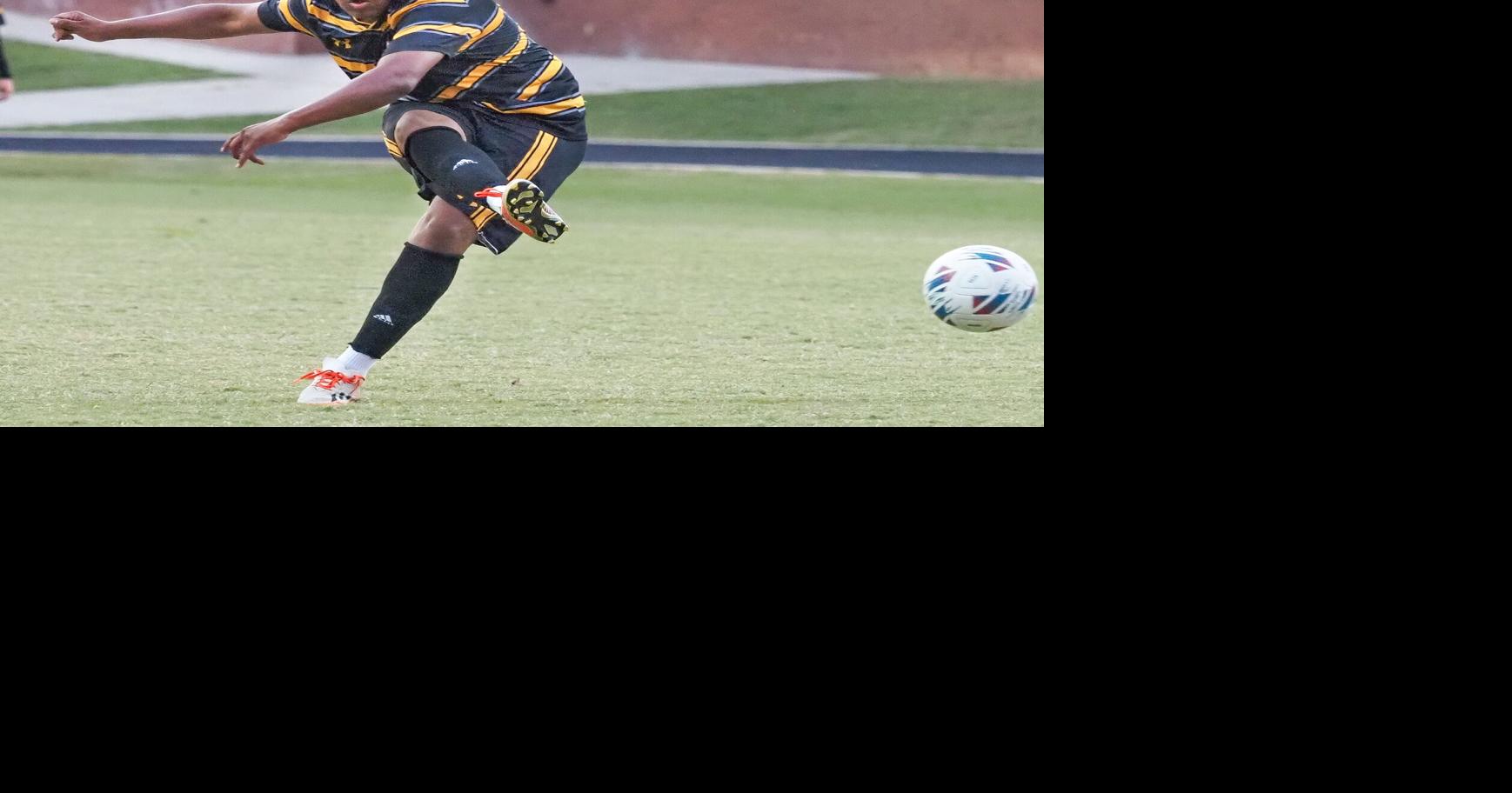 BOYS SOCCER: Castillo scores twice, helps Forest Hills grab share of ...