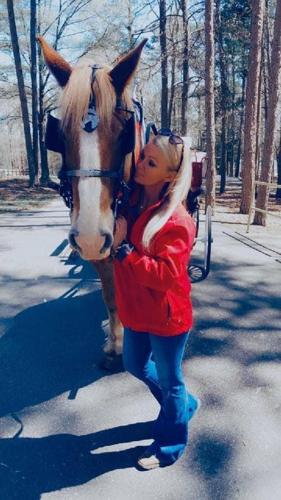 Pitbull And Horse At Cane Creek Park Dog attack injures carriage horse, driver | Local News