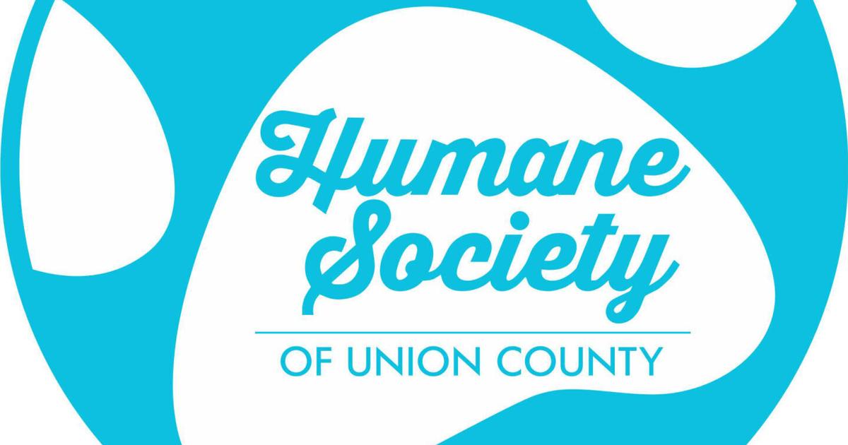 Tito’s K Donation Boosts HSUC Vet Services and Pet Care | Enquirer Journal Tito’s K Donation Boosts HSUC Vet Services and Pet Care | Enquirer Journal