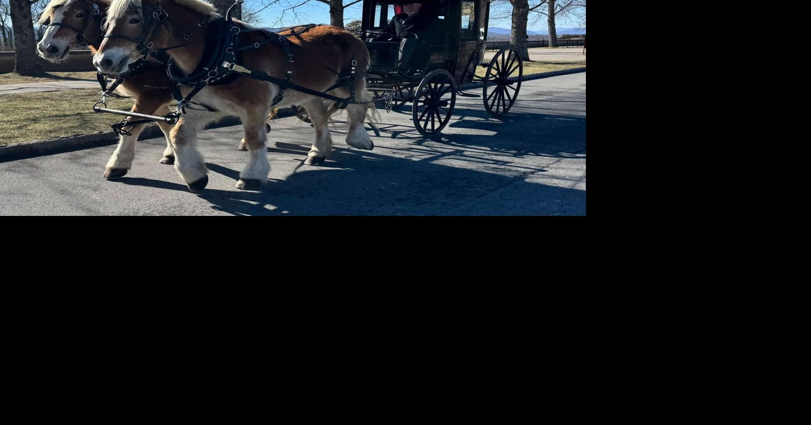 Medlin Family to star in Biltmore Christmas movie sequel