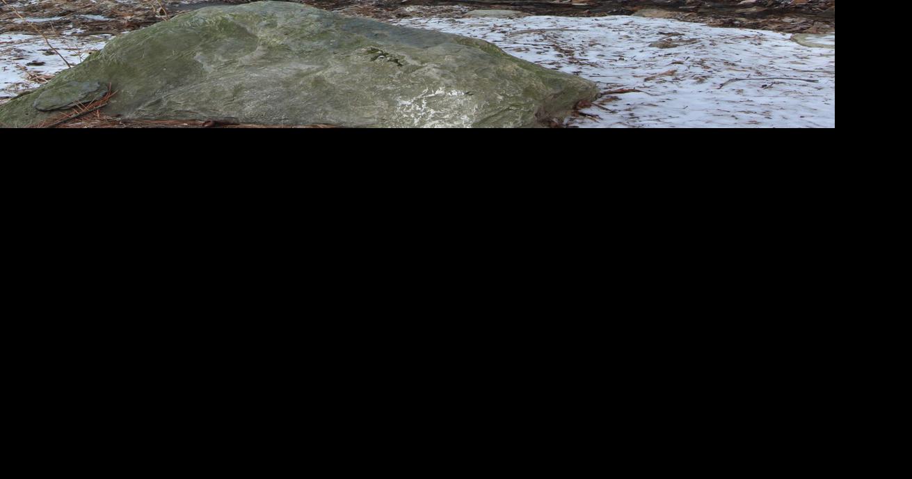 Essex Parks and Recreation peruses accessibility project for Indian Brook trail