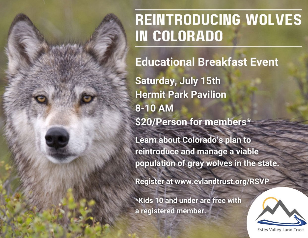 Land Trust To Host Breakfast Event On The Reintroduction Of Wolves In ...