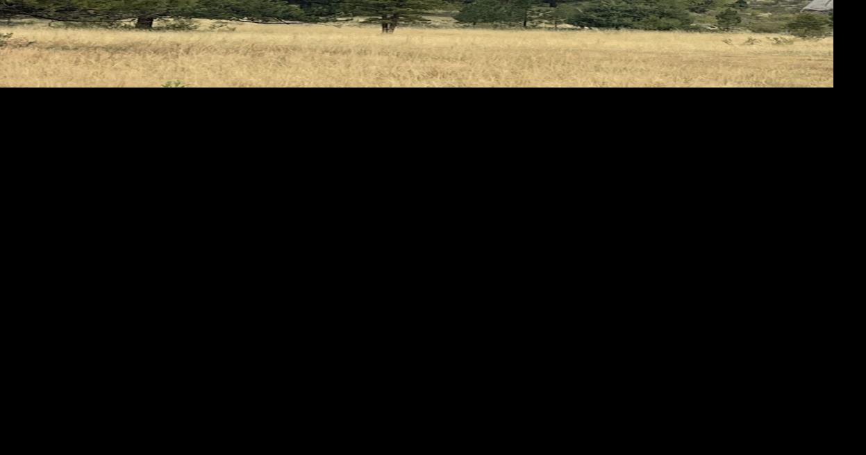 Small .2 (2/10) acre fire in Lumpy Ridge area of RMNP | RMNP News ...
