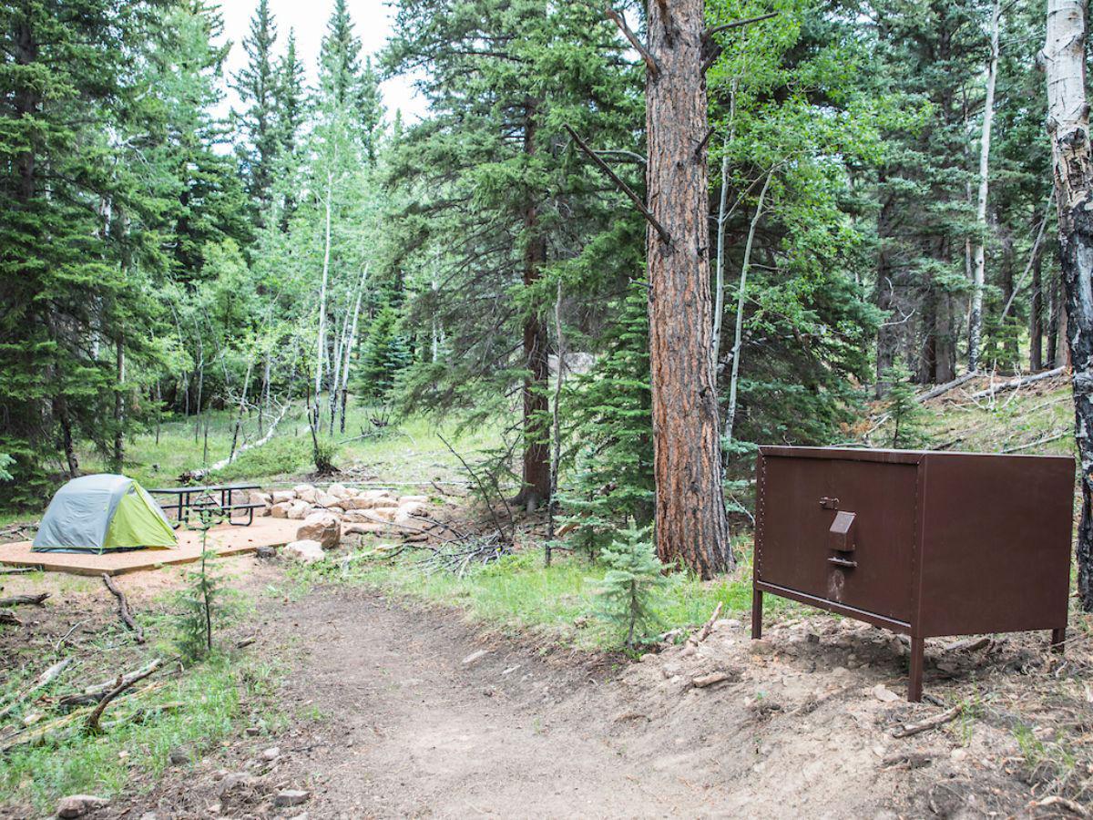 Be Bear Aware Stay Safe While Camping And Backpacking In Colorado Bear Country Featured Articles Estesparknews Com