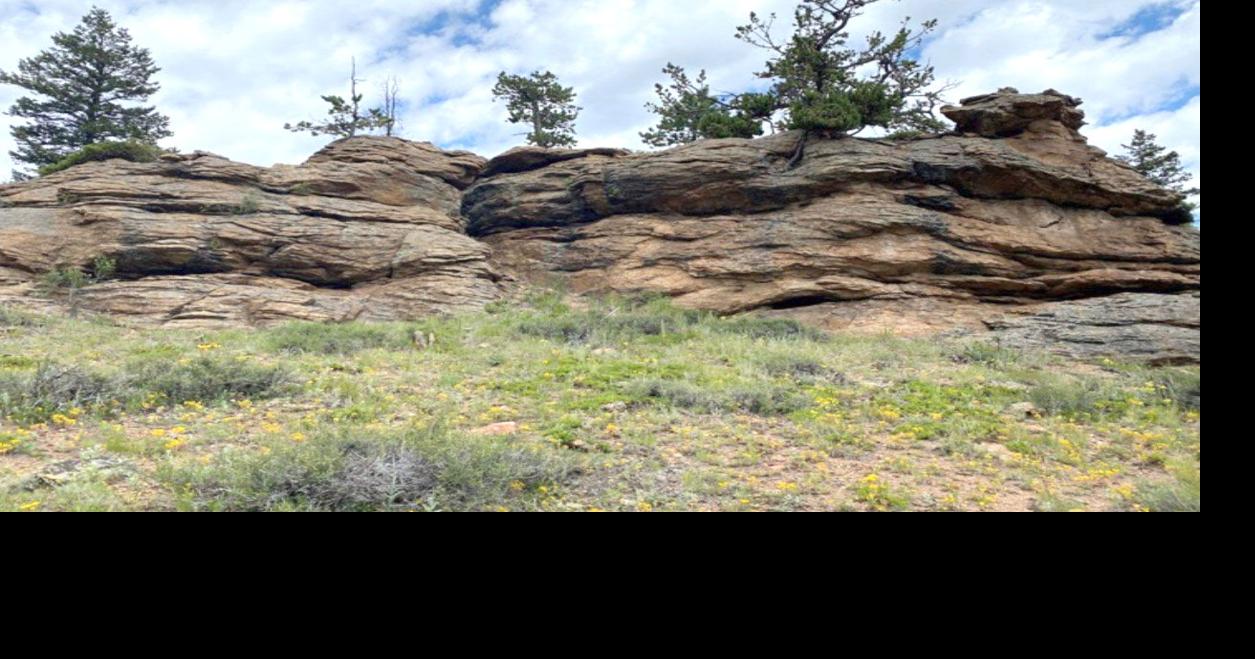The Estes Valley Watershed Coalition Presents The Changing Geology Of