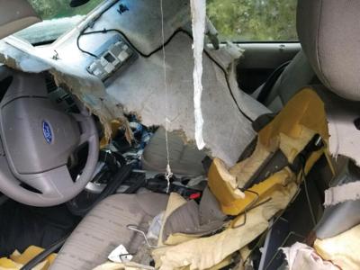 Calling All Cars Be Bear Aware Featured Articles Estesparknews Com Calling All Cars Be Bear Aware Featured Articles Estesparknews Com