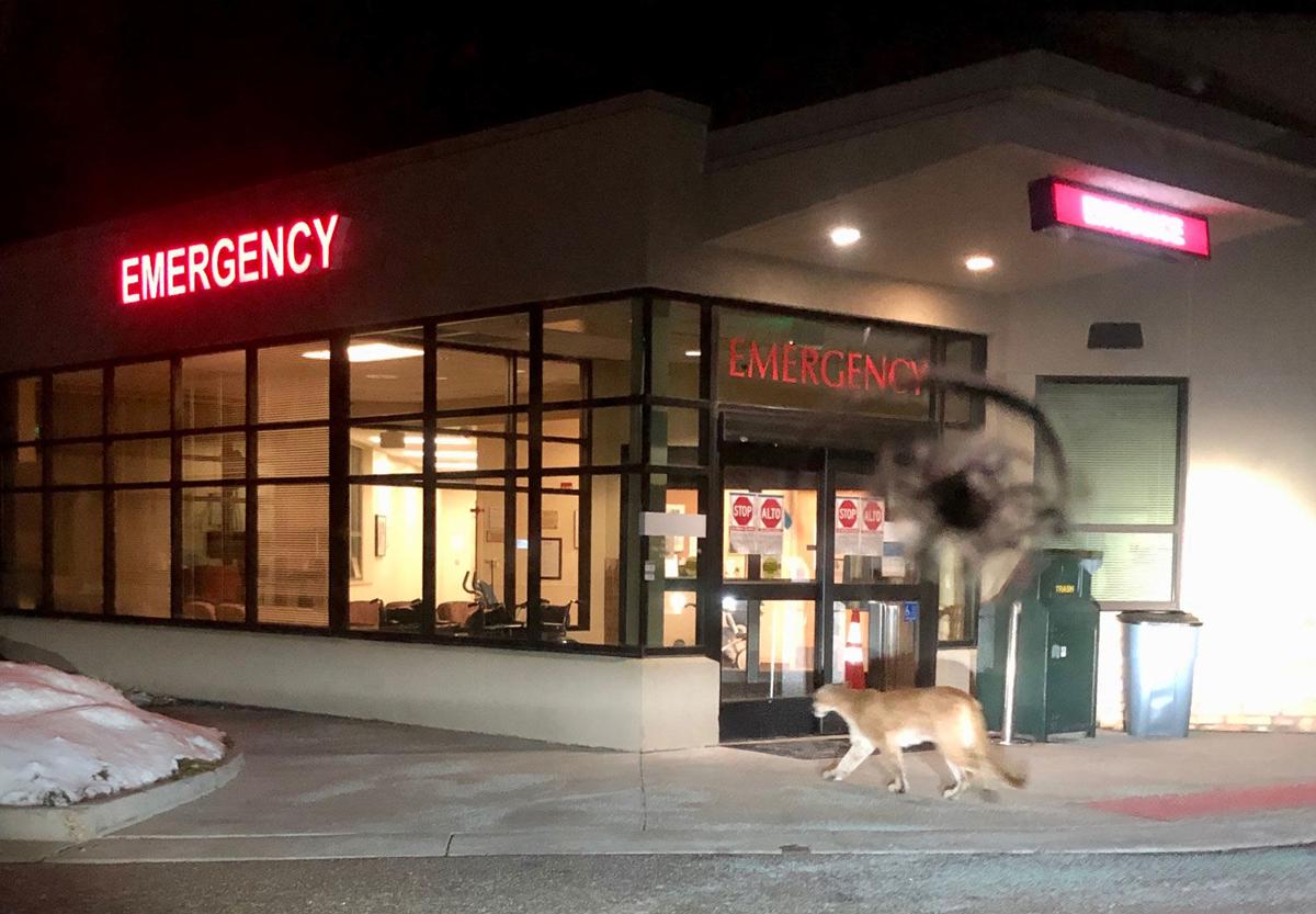 Be Careful Out There Estes Valley Spotlight Estesparknews Com