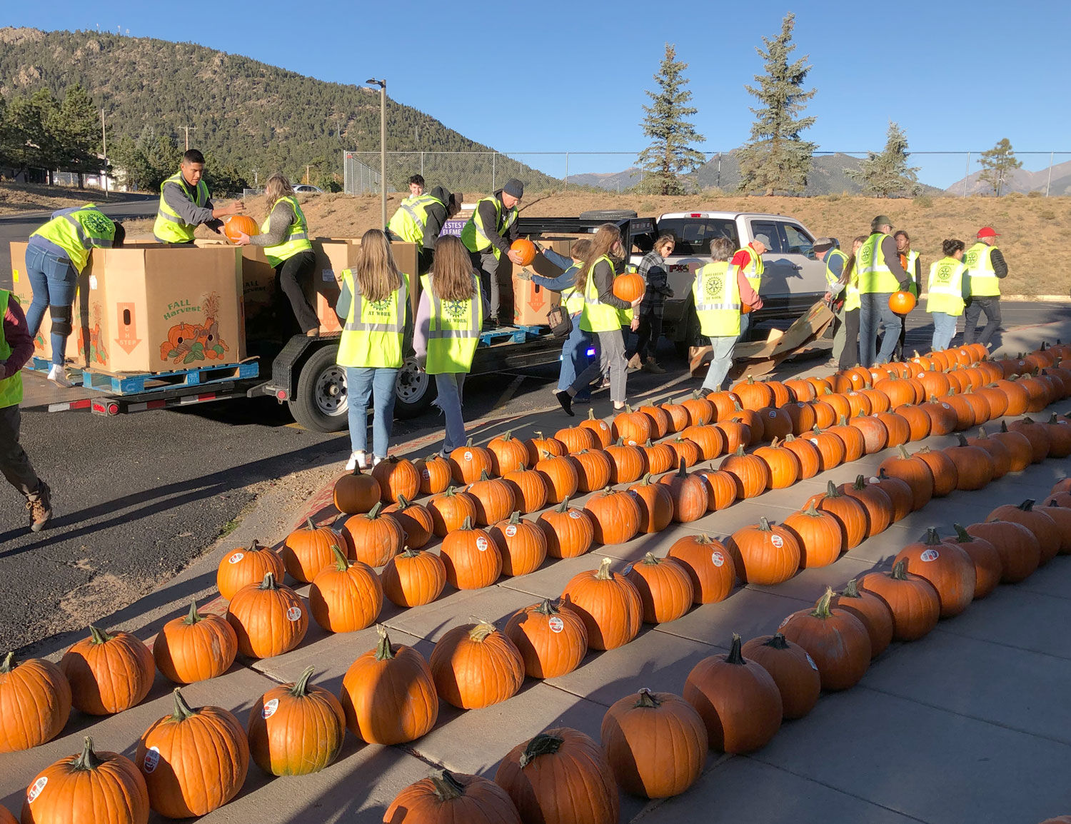 pumpkin patch groupon