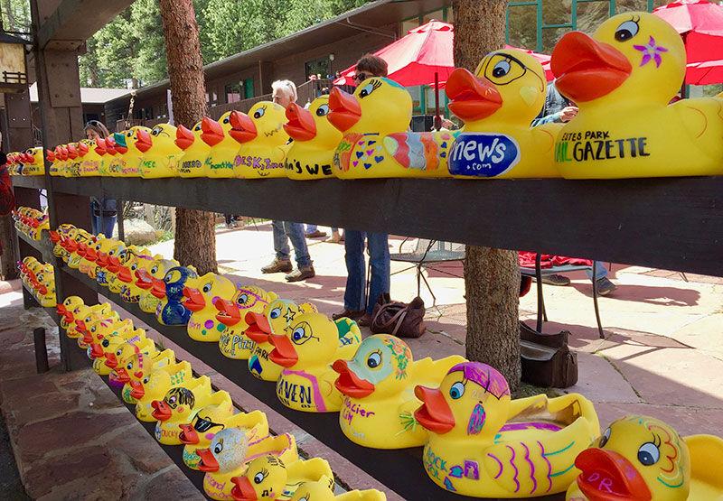 32nd Annual Estes Park Duck Race Festival Will Be Virtual Events