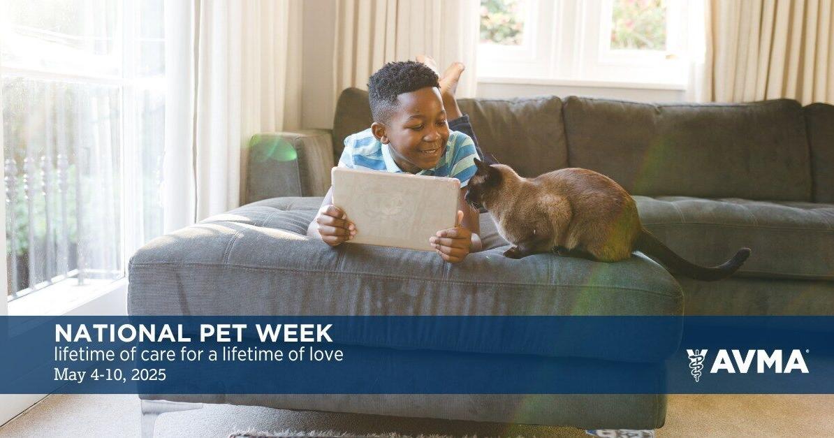 AVMA spotlights benefits, responsibilities of pet ownership during National Pet Week 2025 | Press Releases