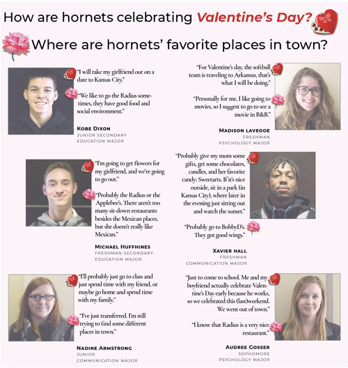 How are hornets celebrating Valentine’s Day?