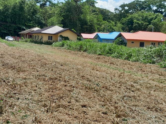 Beautiful lots 5000 sq.ft. each, freehold Cumuto. 225,000. Real