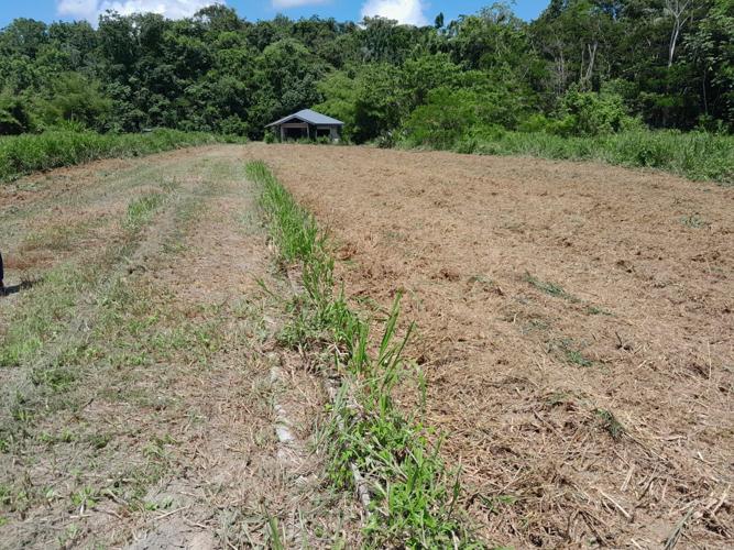 Beautiful lots 5000 sq.ft. each, freehold Cumuto. 225,000. Real