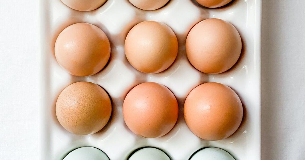 All about eggs | Articles | fairfaxtimes.com