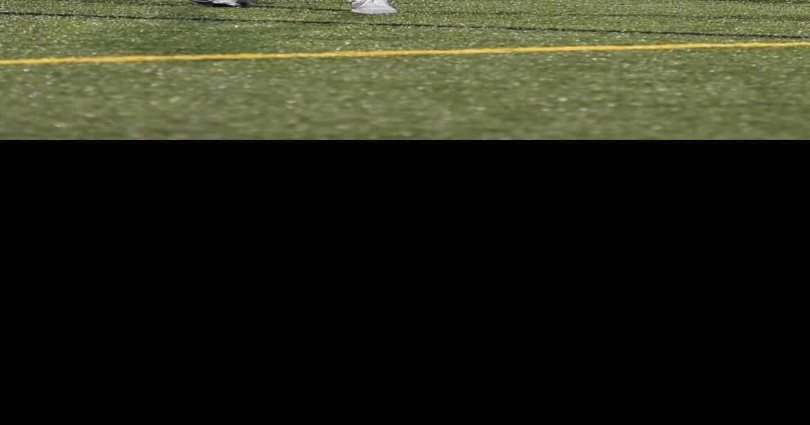 Oakton Field Hockey is riding hot into the playoffs Sports