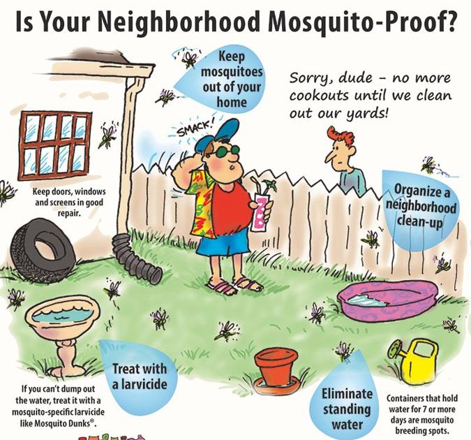 Your Field Guide To Battle Mosquitoes Articles Fairfaxtimes Com