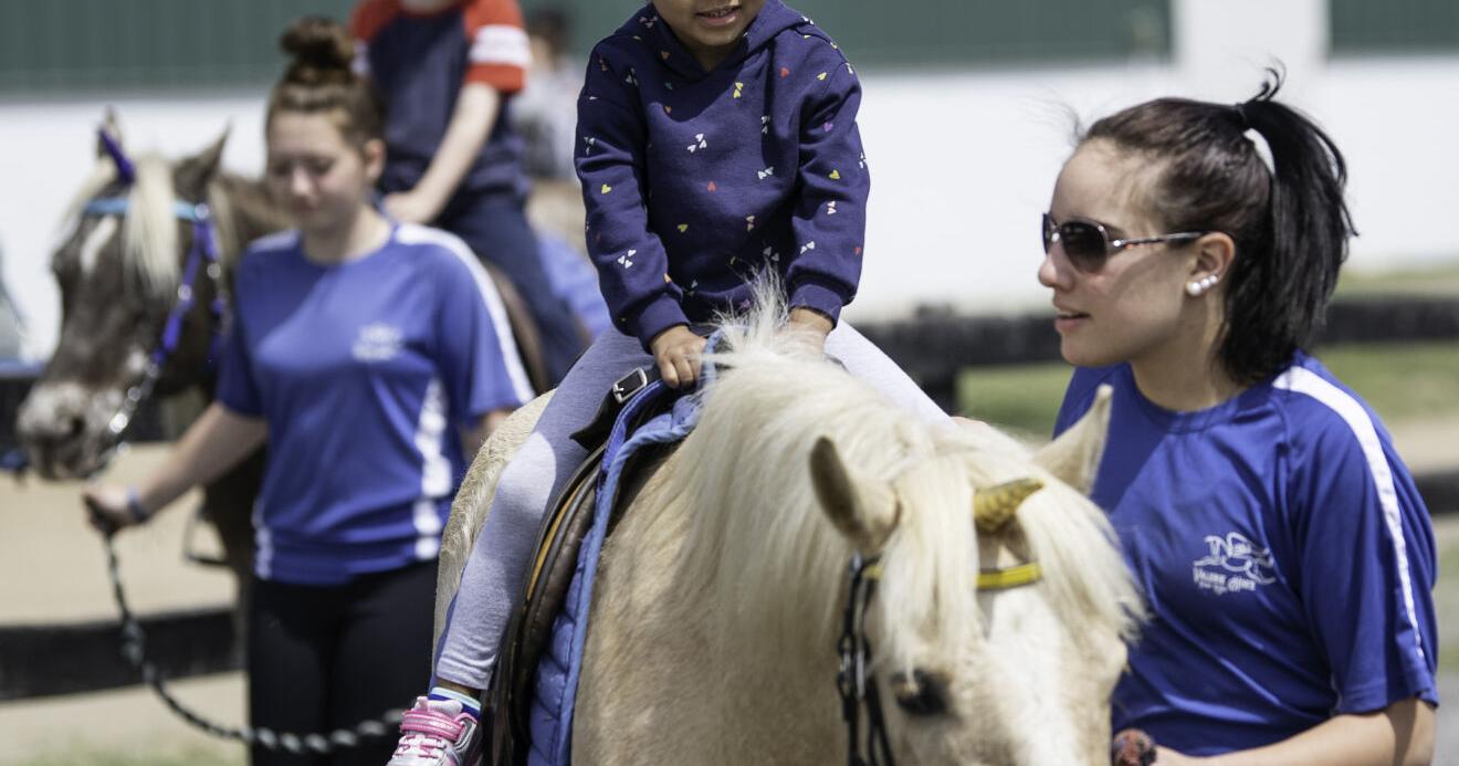 Horse Expo returns to Frying Pan Farm Park - Vimarsana News