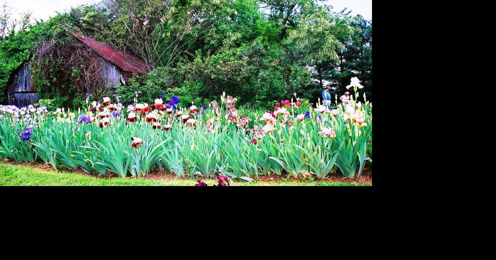 Remembering Margaret's Garden | Articles | fairfaxtimes.com