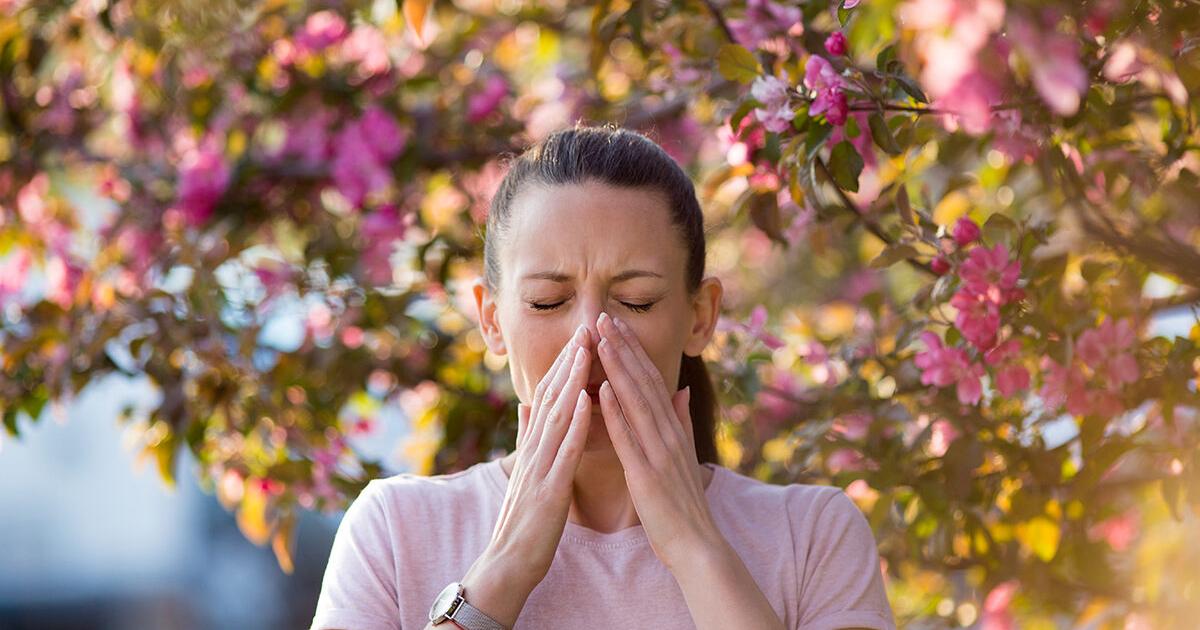 Get an early start on allergy season - Vimarsana News