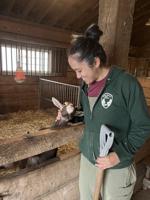 Frying Pan Farm Park caretakers are dedicated to animal health