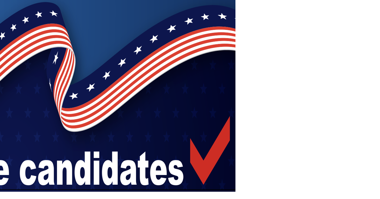Meet the candidates Fairfax County