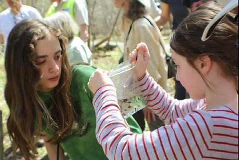 Vernal Pool Exploration At Accotink Creek Fun And Educational Articles Fairfaxtimes Com