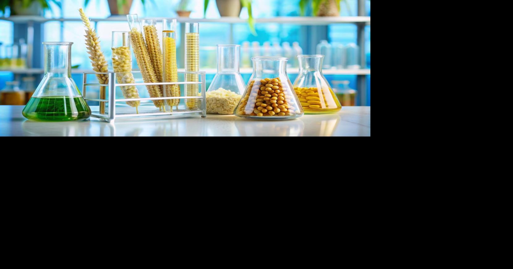 Are bioengineered foods a threat to our health and environment? | Health & Food