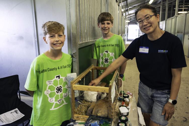 4H Fair is for everyone! Arts & Entertainment