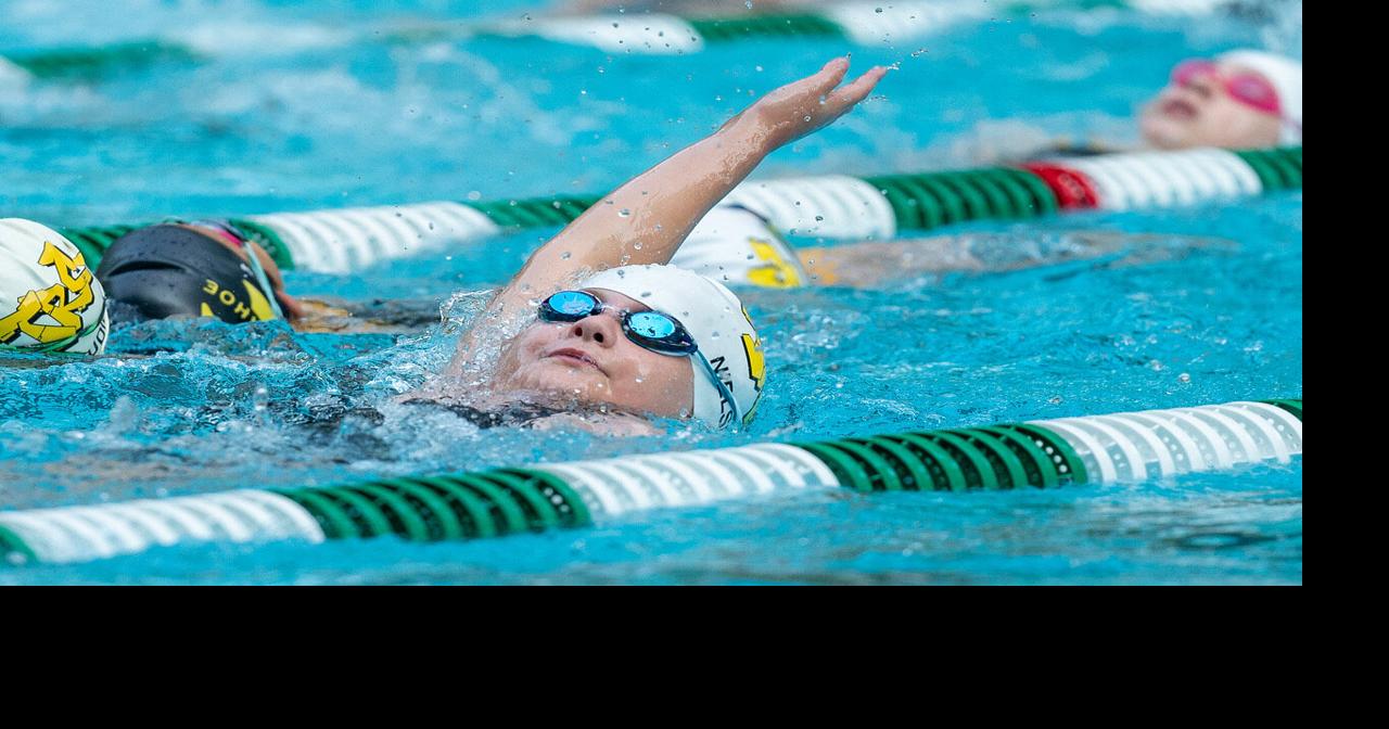 Tuckahoe Tigers swim team looks forward to strong season | Sports