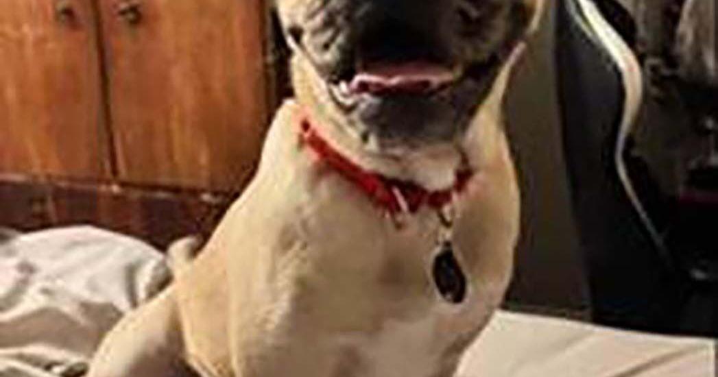 A Forever Home