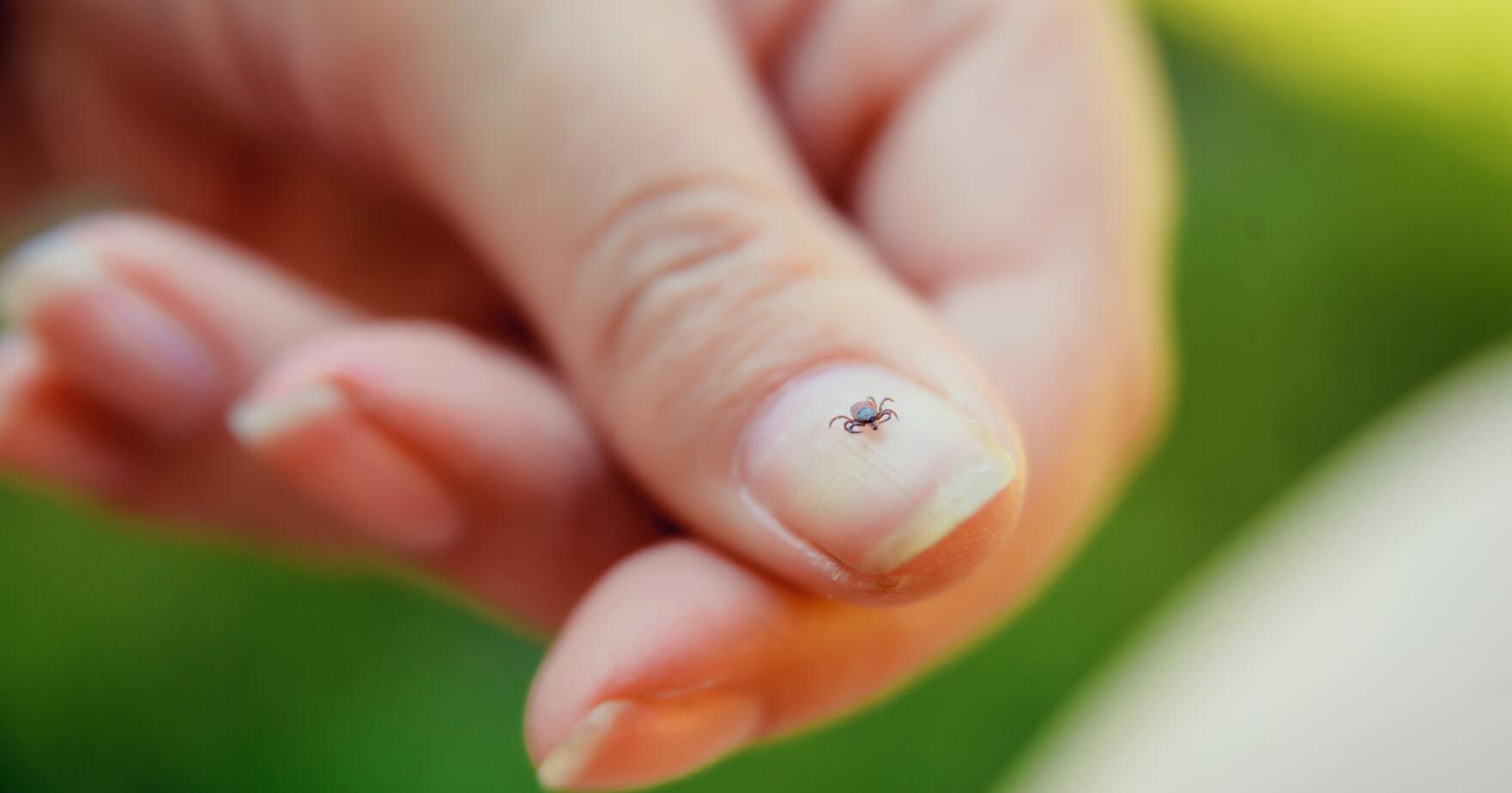 Army grants GMU $1.1 million for Lyme Disease detection research - Vimarsana News
