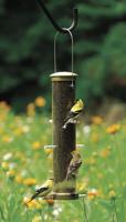 Attract more birds to your backyard