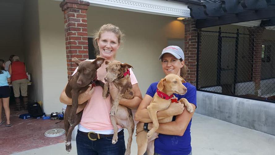 PetConnect Rescue - Hurricane Florence Rescue3.jpg